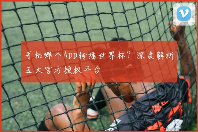 手机哪个App转播世界杯？深度解析五大官方授权平台